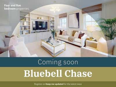 Bluebell Chase - Image 1