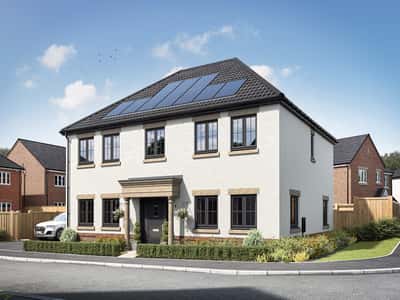 Bramble Green - Image 2