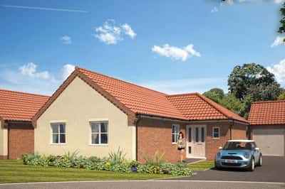 Festival Park - Image 3