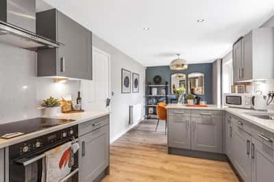 Festival Park - Image 15