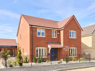 Forest View - Image 3