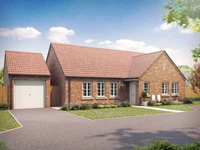 Germany Beck - Image 3