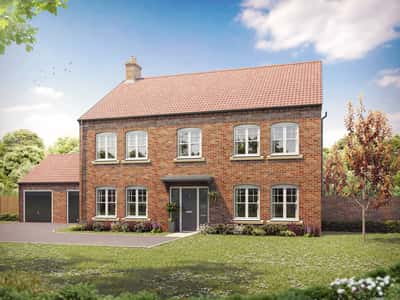 Germany Beck - Image 4