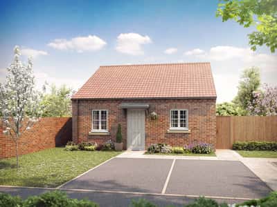 Germany Beck - Image 6