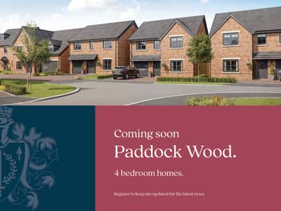 Paddock Wood - Image 1