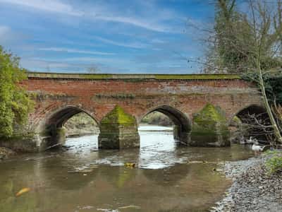 Rose Manor - Image 12