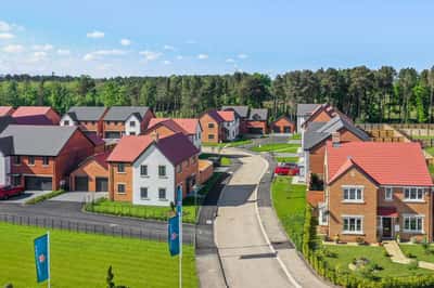 The Oaks at Wynyard Estate