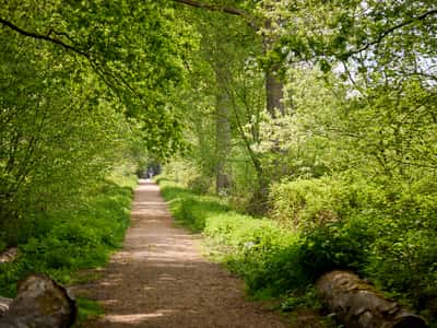 The Paddocks - Image 3