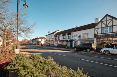 Allium Park - Image 2