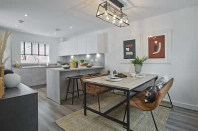 St James' Park - Image 7