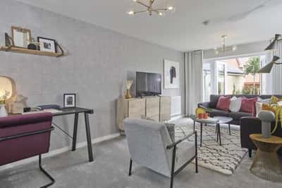 St James' Park - Image 1