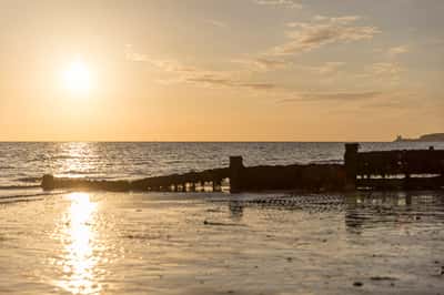 Greenwood Gardens - Image 6