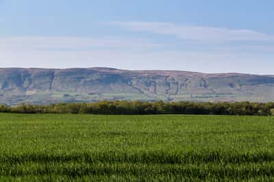 Auchinleck Village - Image 10