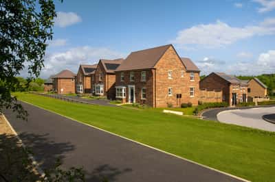 Bluebell Meadows - Image 1