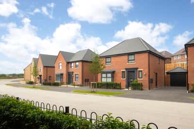 Bluebell Meadows - Image 9