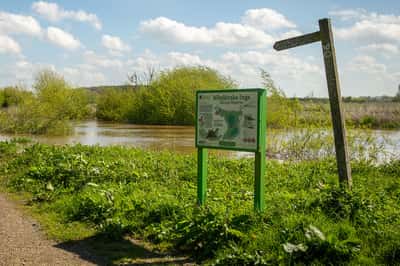 Bramble Wood - Image 5