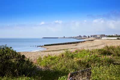 Brookwood Meadows - Image 10