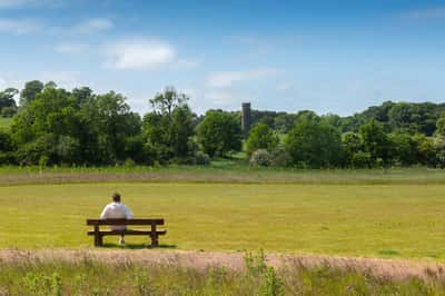 Cammo Meadows Apartments - Image 8