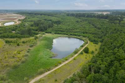 David Wilson Homes at Priors Hall Park - Image 10