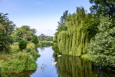 David Wilson Homes The Woodlands - Image 10