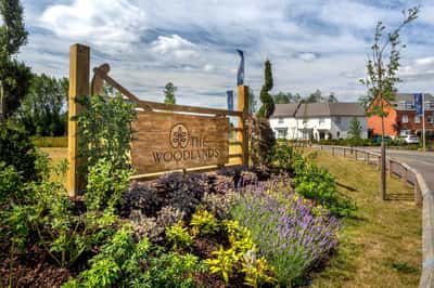 David Wilson Homes The Woodlands - Image 3