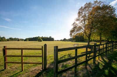 DWH @ Cornhill Village - Image 9