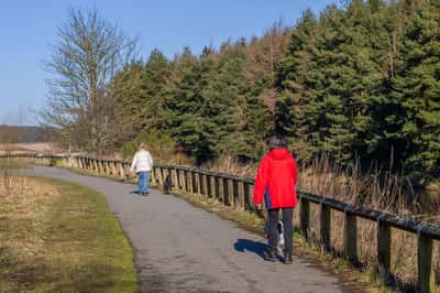 DWH @ Otter Stone Manor - Image 6