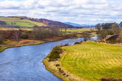 DWH @ Otter Stone Manor - Image 9