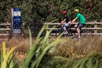 DWH at Hampton Beach - Image 9