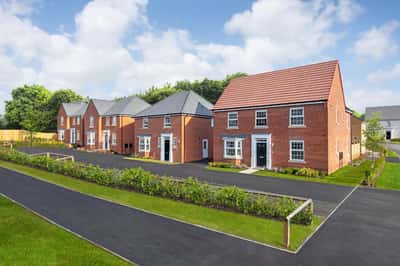 Elm Tree Park - Image 1