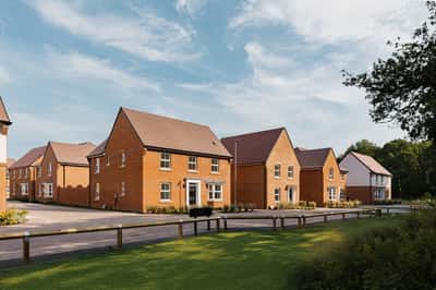 Forest Walk - Image 1