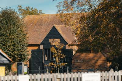 Forest Walk - Image 10