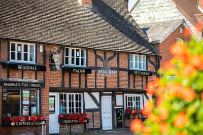 Forest Walk - Image 8