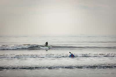 Fossil Bay - Image 7