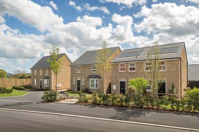 Francis Fields - Image 7