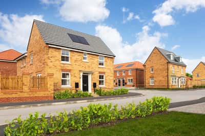 High Forest - Image 10