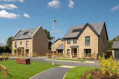 Honeymans Helm - Image 1