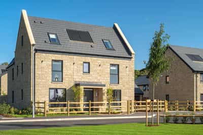 Honeymans Helm - Image 3