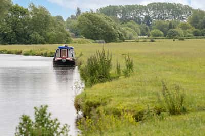 Honeymans Helm - Image 8