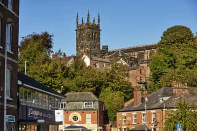 Kings Park - Image 10