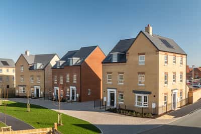 Niveus Walk - Image 1