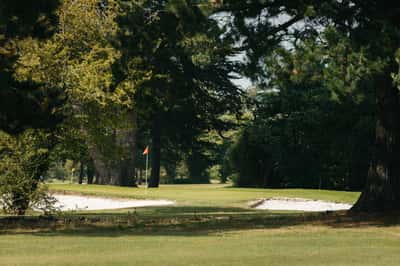 Nursery Fields - Image 8
