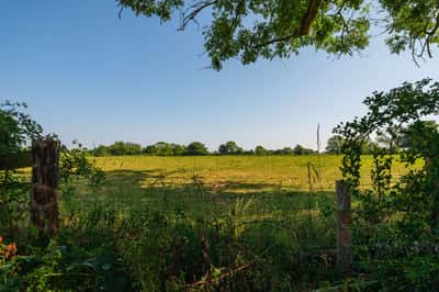 Olive Park - Image 7