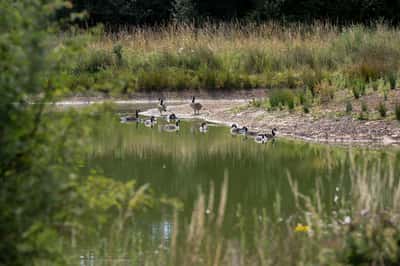 Orchards Rise - Image 8