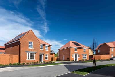 Roman Walk - Image 7