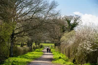 Romans Quarter - Image 8