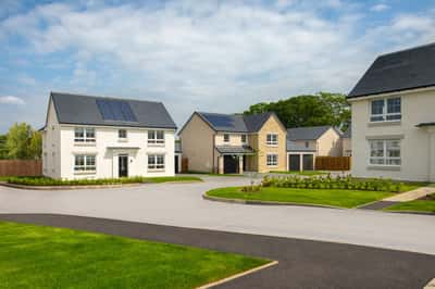 Rosewell Meadow - Image 8