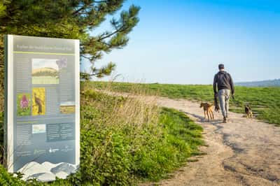Ryebank Gate - Image 9