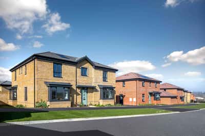 Saxon Fields - Image 3