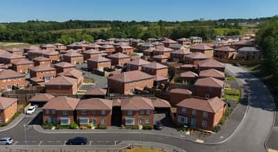 Saxon Fields - Image 8